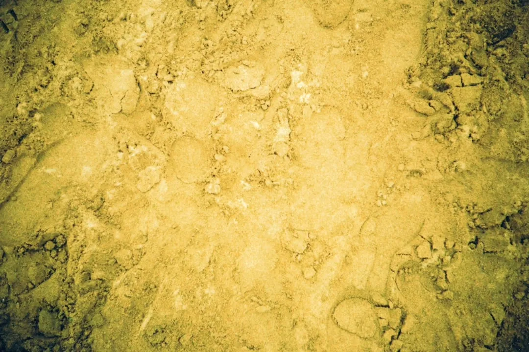 Die Bedeutung von Antike Drucke in der heutigen Zeit