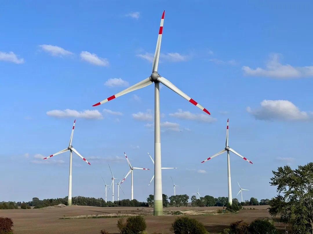Die Bedeutung von Erneuerbaren Energiequellen