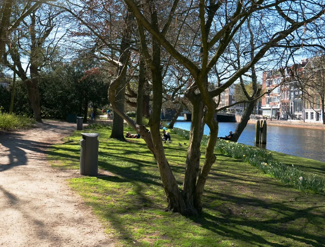 Die besten Aktivitäten für einen entspannten Sonntag in Düsseldorf
