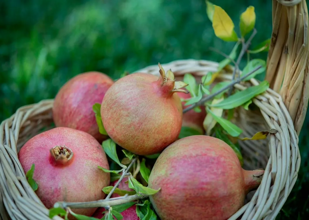 Die besten Anti-Aging-Lebensmittel: Tipps für eine gesunde Ernährung