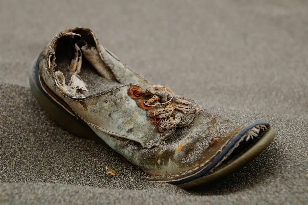 Die besten Tipps zur Schuhpflege: So bleiben Ihre Schuhe lange schön