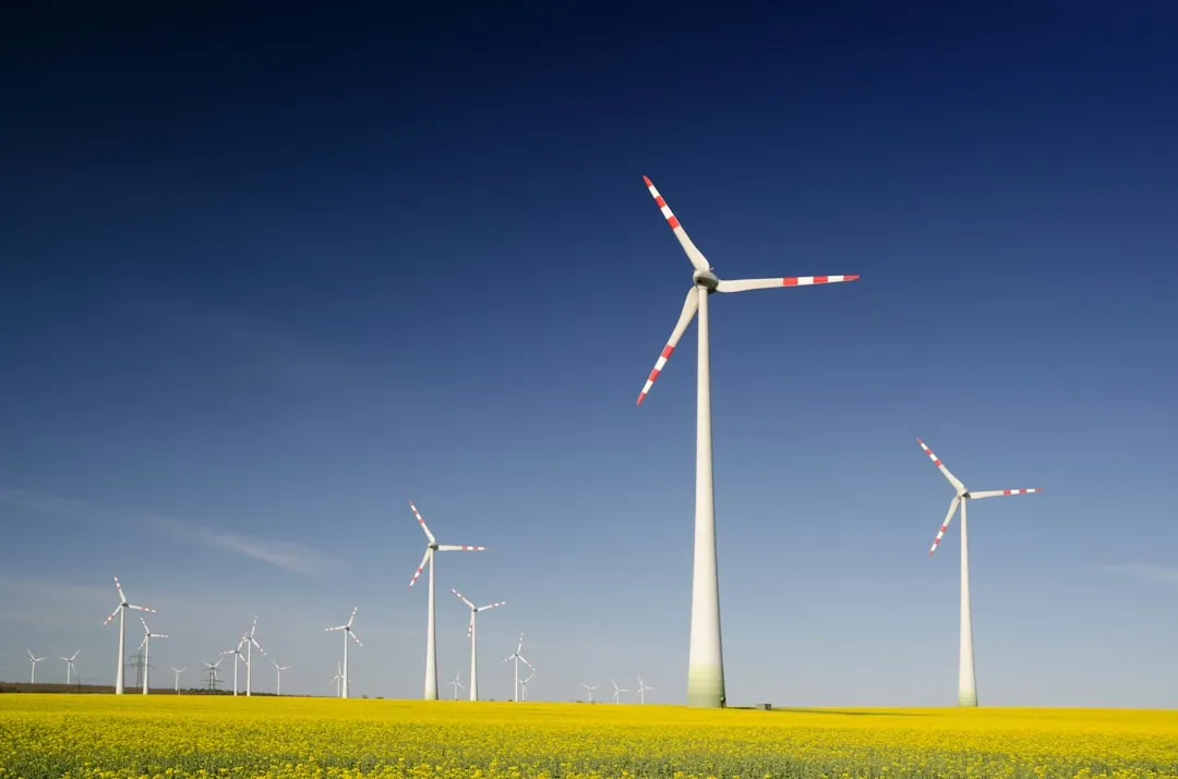 Bioenergienutzung: Effiziente Nutzung erneuerbarer Energiequellen