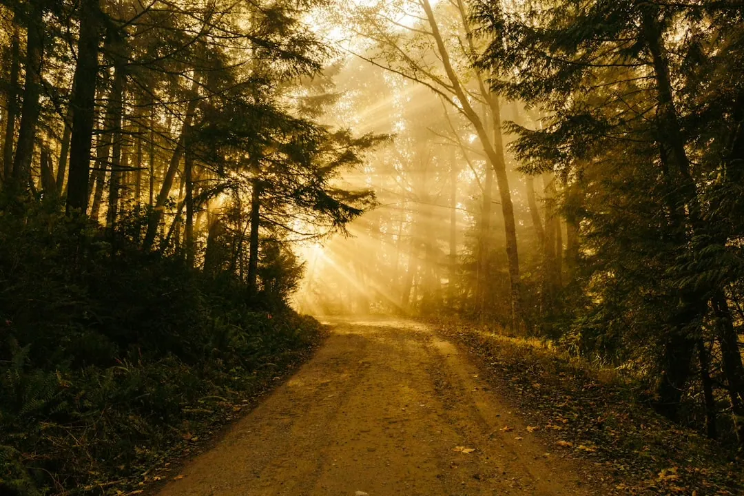 Customer Journey im Online-Marketing: Der Weg des Kunden