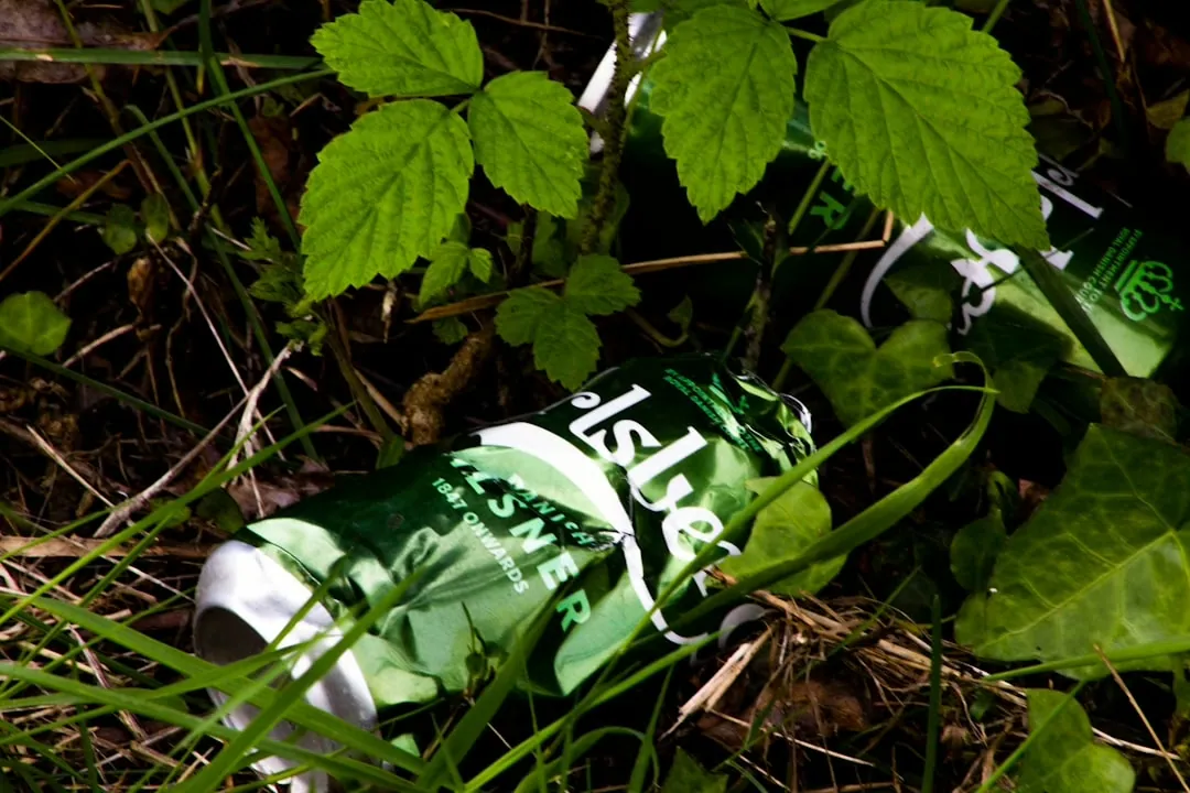 Effektive Katzenstreu für saubere Haushalte