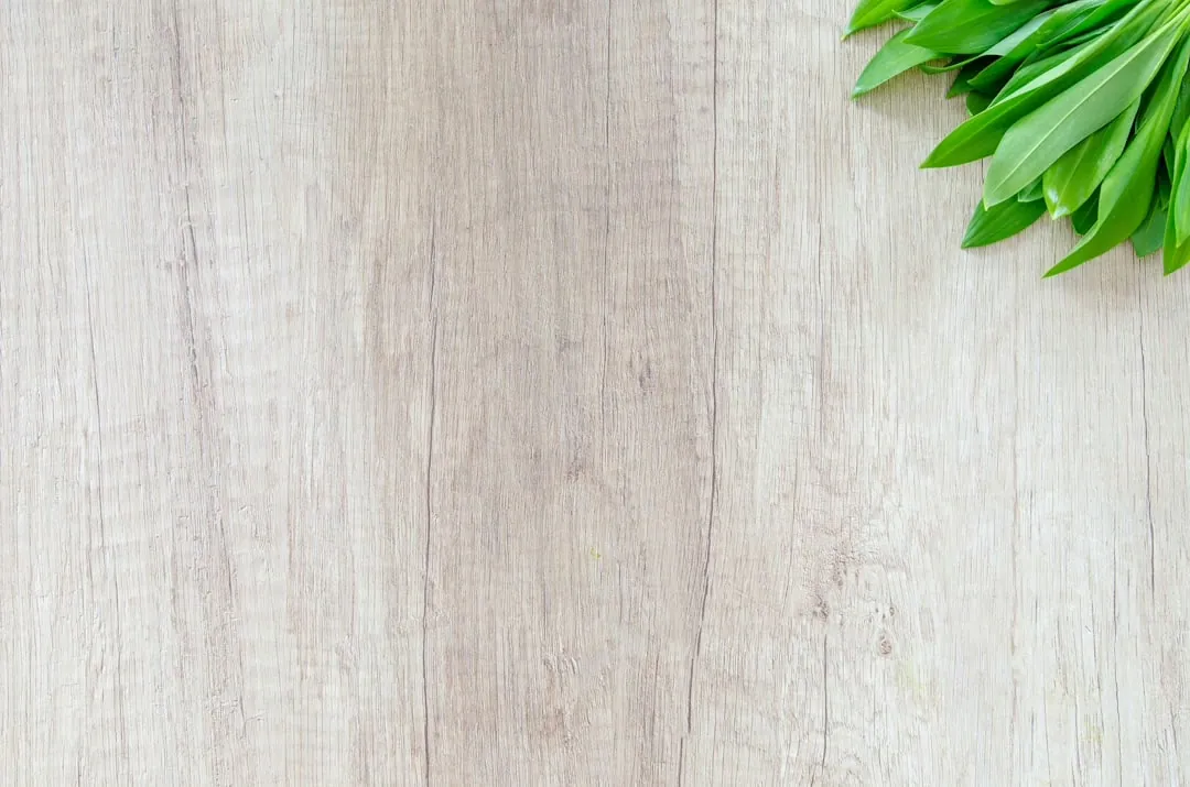 Effektiver Holzschutz: Tipps und Tricks