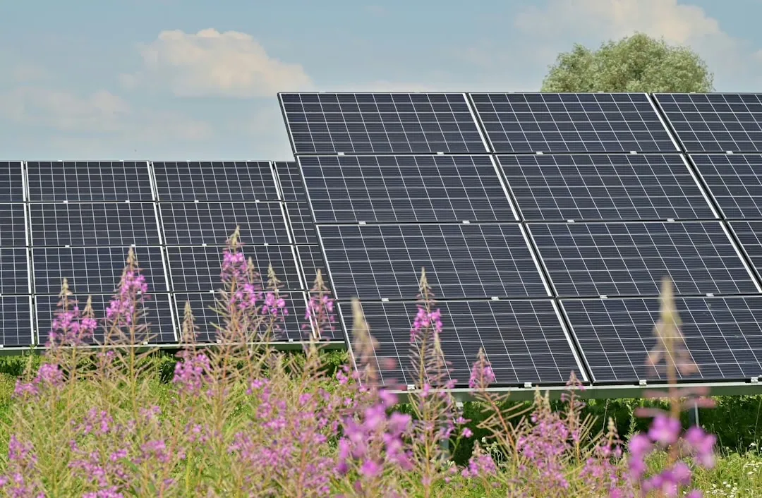 Energieeffiziente Häuser: Effektive Wege zur Energieeinsparung