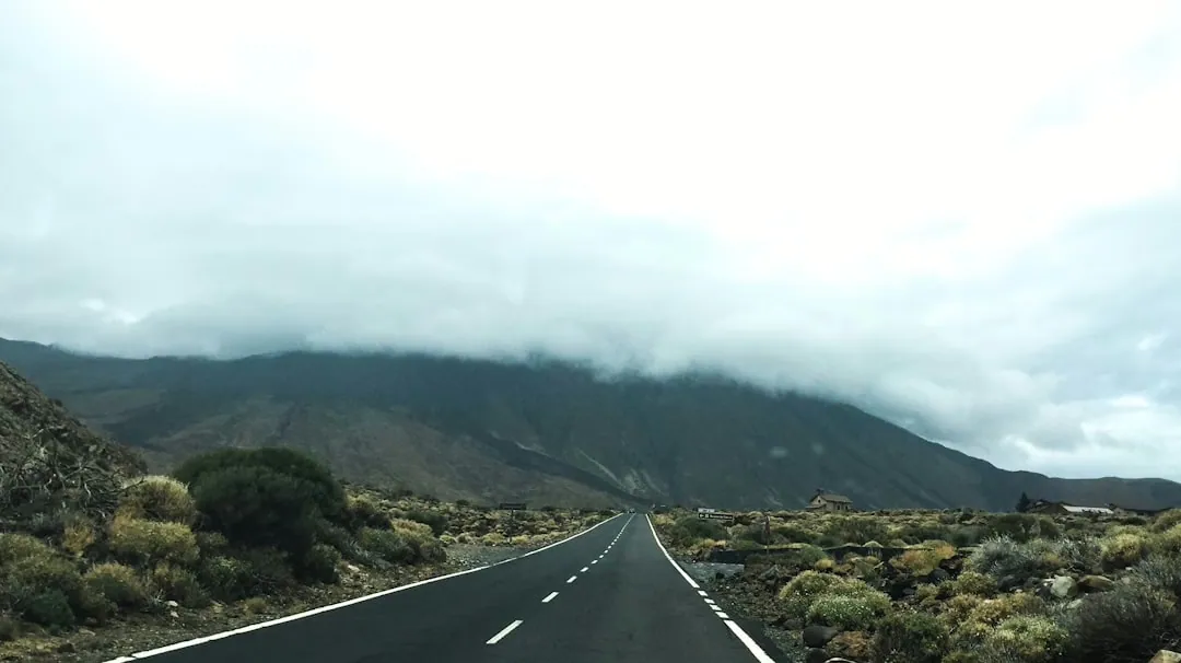 Die Faszination von Roadtrips: Entdecke die Freiheit der Straße