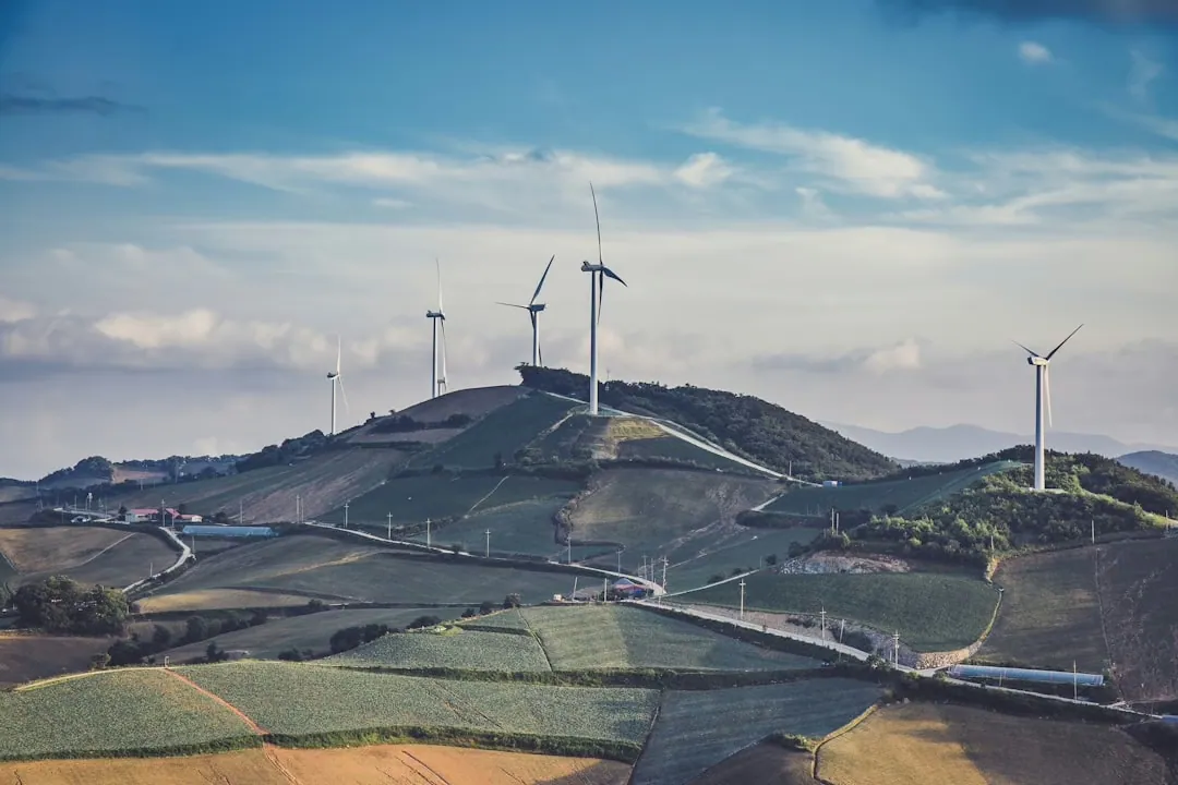 Grüne Energie: Nachhaltige Lösungen für die Zukunft