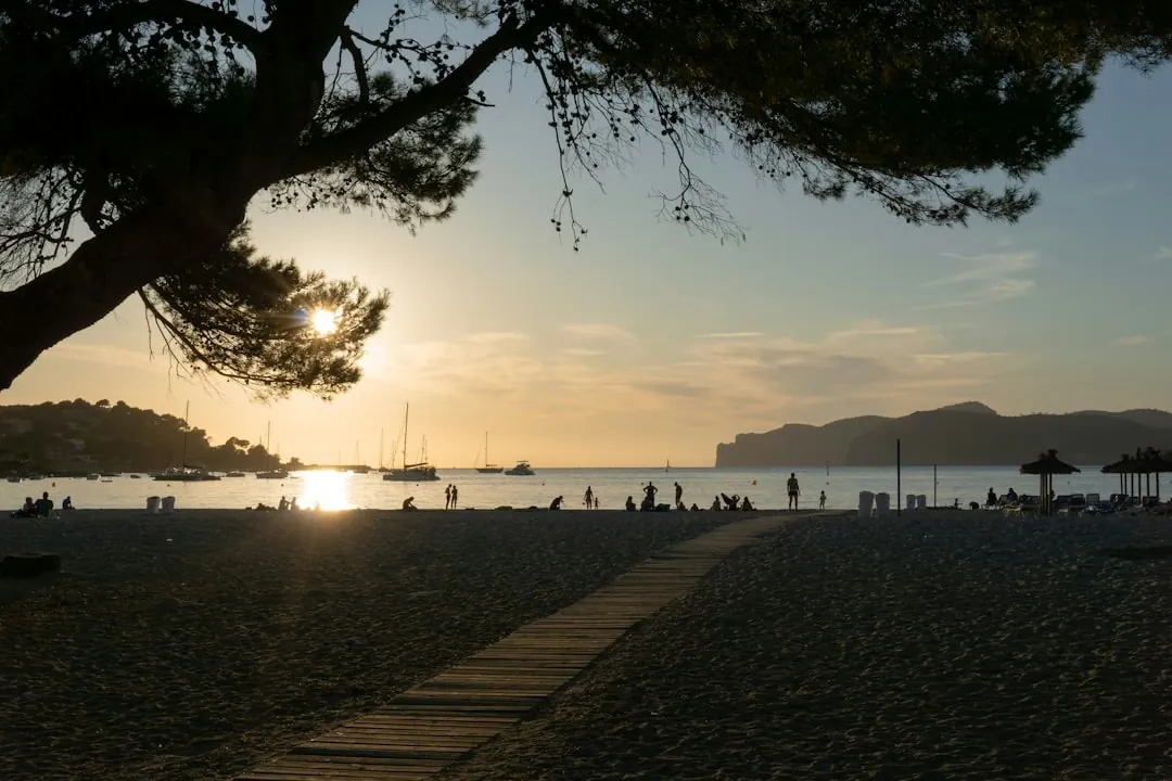 Immobilienkauf auf Mallorca: Tipps zur Auswahl der richtigen Region