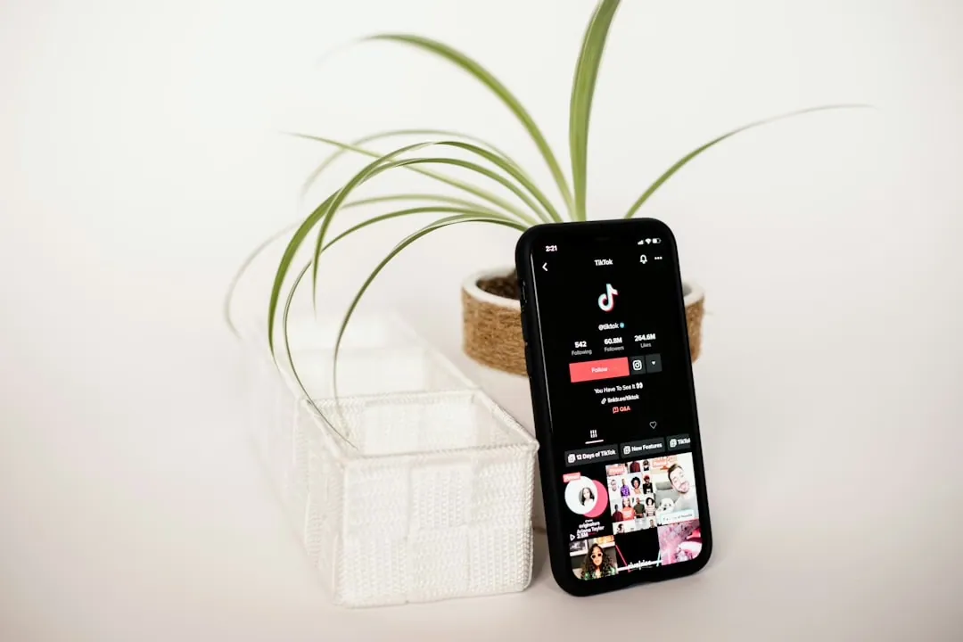 Wie Influencer-Marketing E-Commerce fördern kann