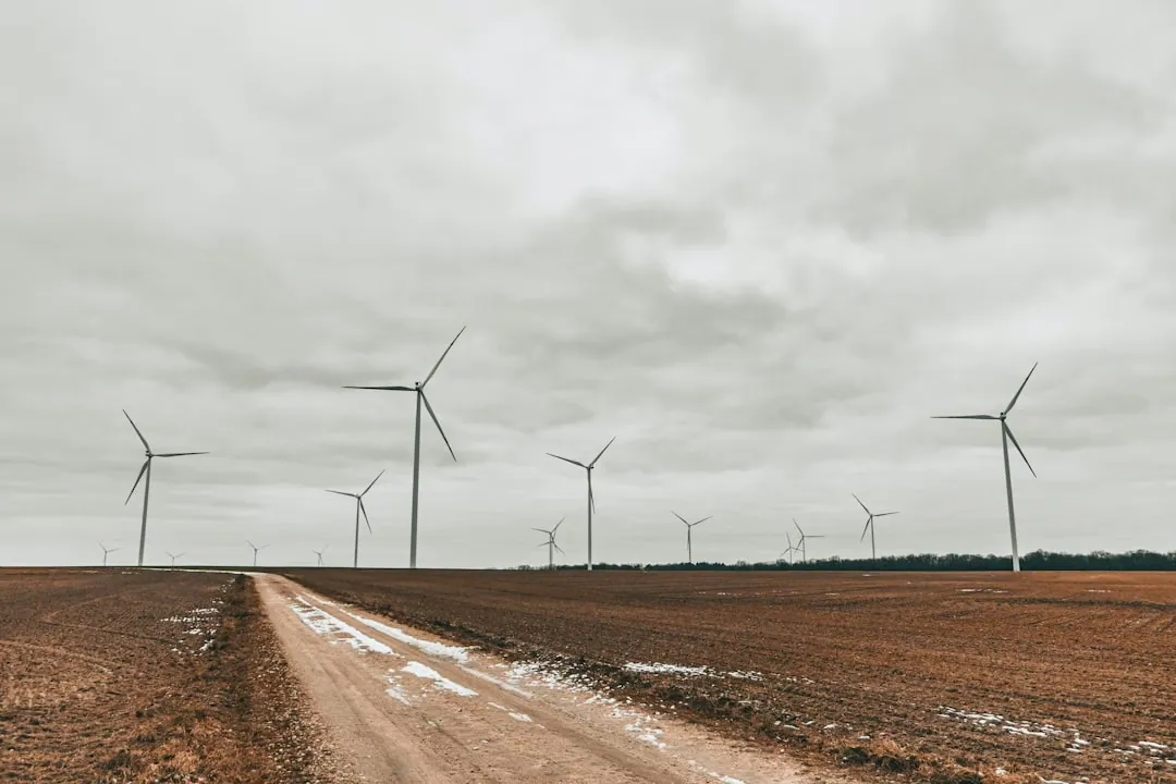 Nachteile und Herausforderungen erneuerbarer Energien: Eine Analyse