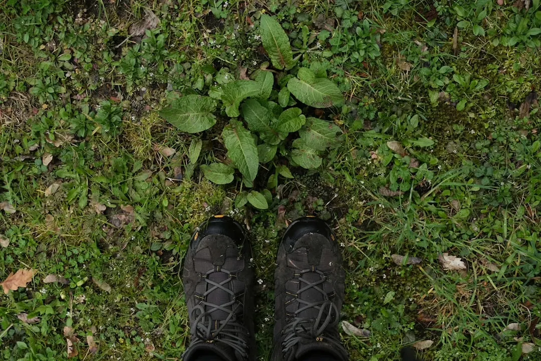 Outdoor-Ausrüstung für Anfänger: Tipps und Empfehlungen