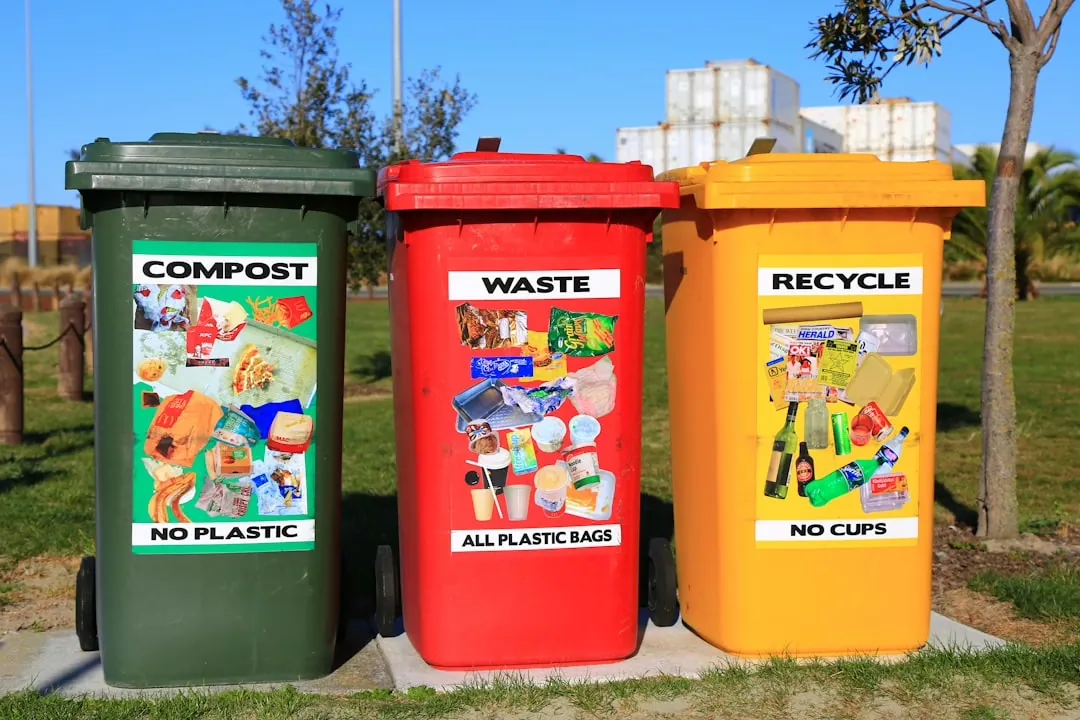Recycling Tipps: Nachhaltig und Umweltfreundlich handeln