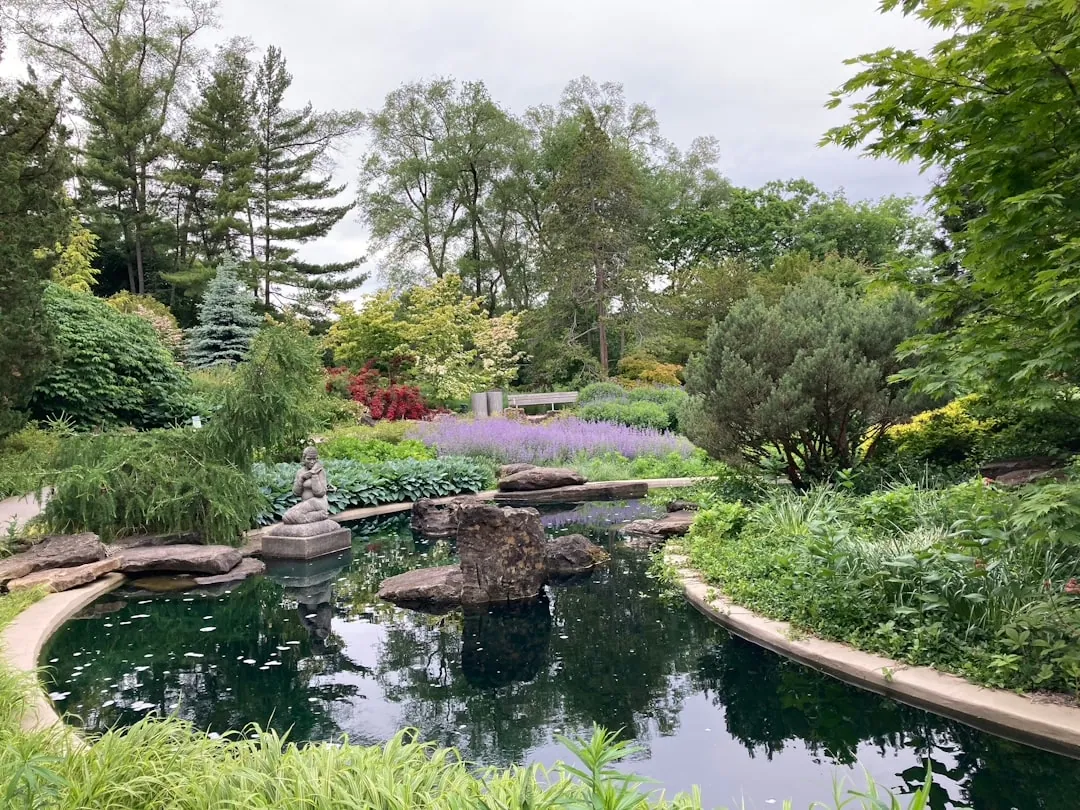 So legen Sie einen Gartenteich an