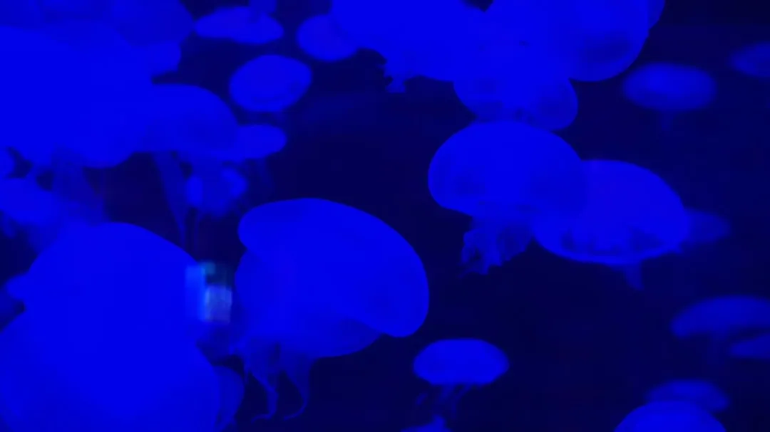 Mit Stories und Reels mehr Reichweite auf Instagram gewinnen