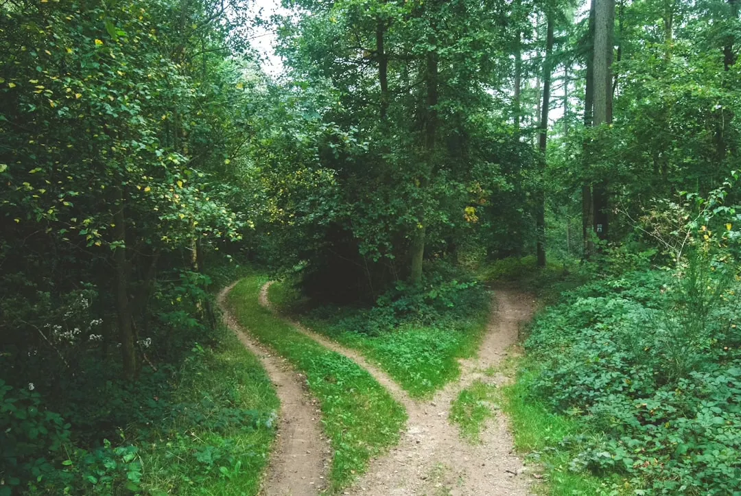 Strategien für bessere Entscheidungsfindung: Tipps und Tricks