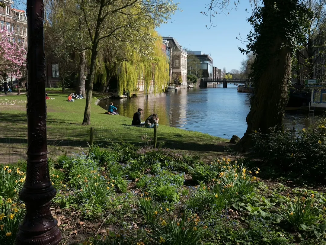Tipps für Anfänger im urbanen Gärtnern