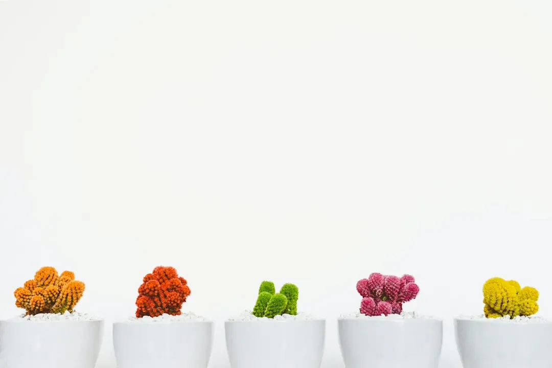 Trends in der Schmuckgestaltung 2024: Neue Entwicklungen und Stilrichtungen