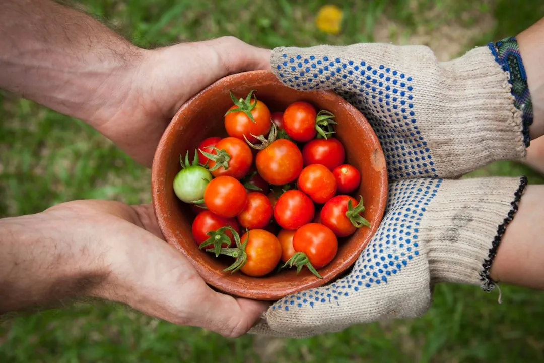 Umweltbewusste Ernährung: Nachhaltigkeit in der Küche