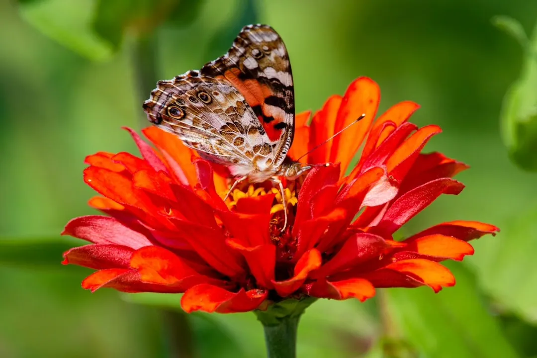 Urban Gardening: Die schönsten Gemeinschaftsgärten in Düsseldorf