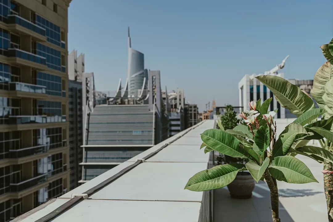Die Zukunft der Landwirtschaft: Urbane Landwirtschaft