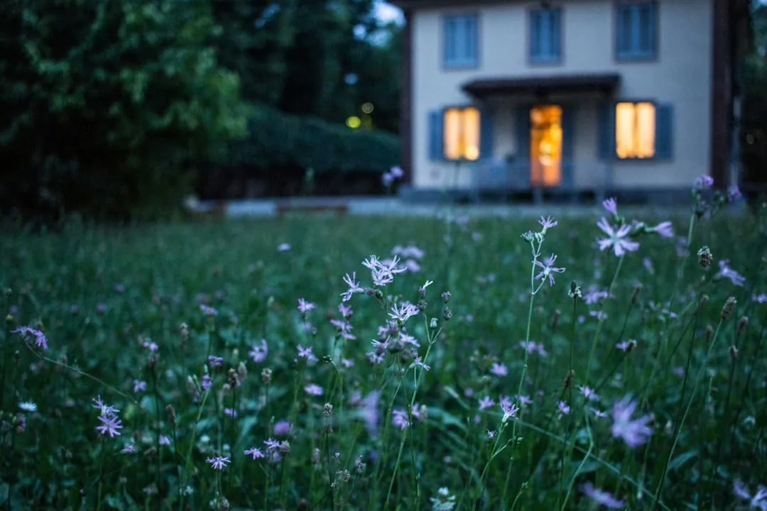 Die Zukunft von Smart Homes: Technologische Innovationen und Komfort für Zuhause